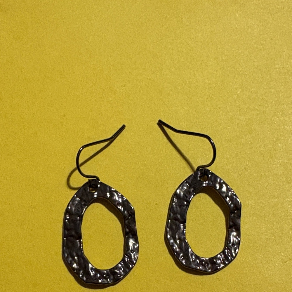 Chic Silver Oval Earrings